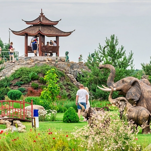 Зображення парк сакури